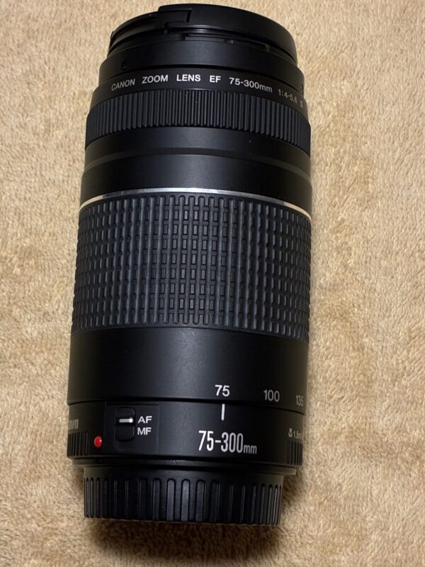 Canon EF 75-300mm f/4-5.6 III Lens