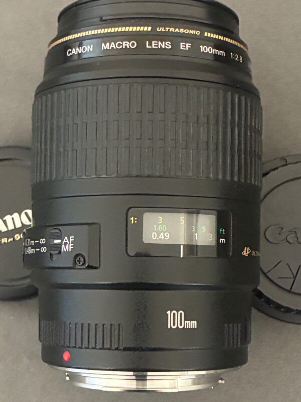 Canon 100mm macro lens