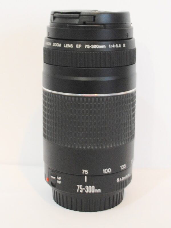 Canon EF 75-300mm f/4-5.6 III Lens