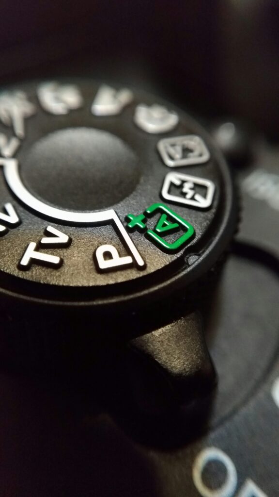 Autofocus modes and focus points explained — Good Used Cameras